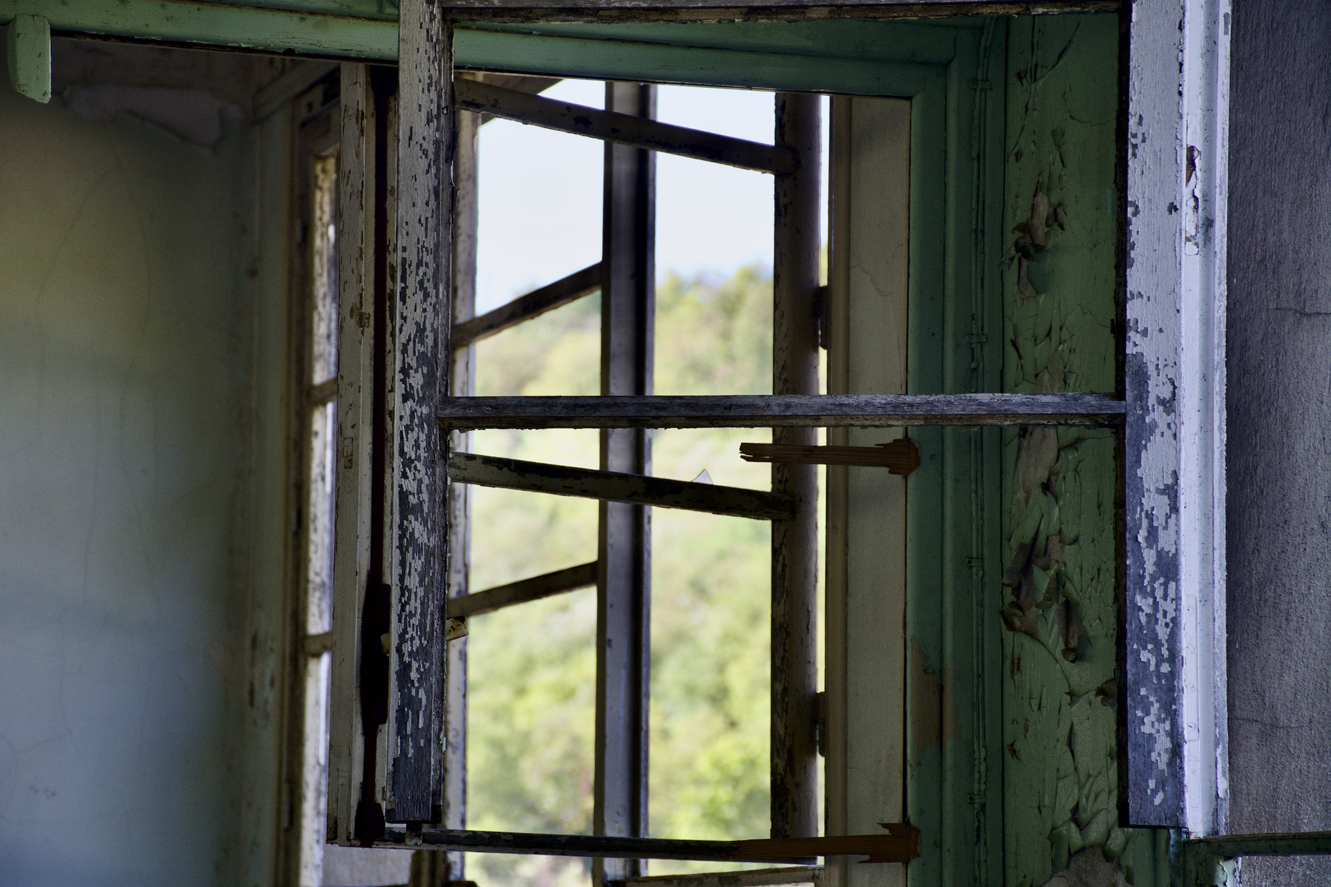 dsc_4612_53066847102_o