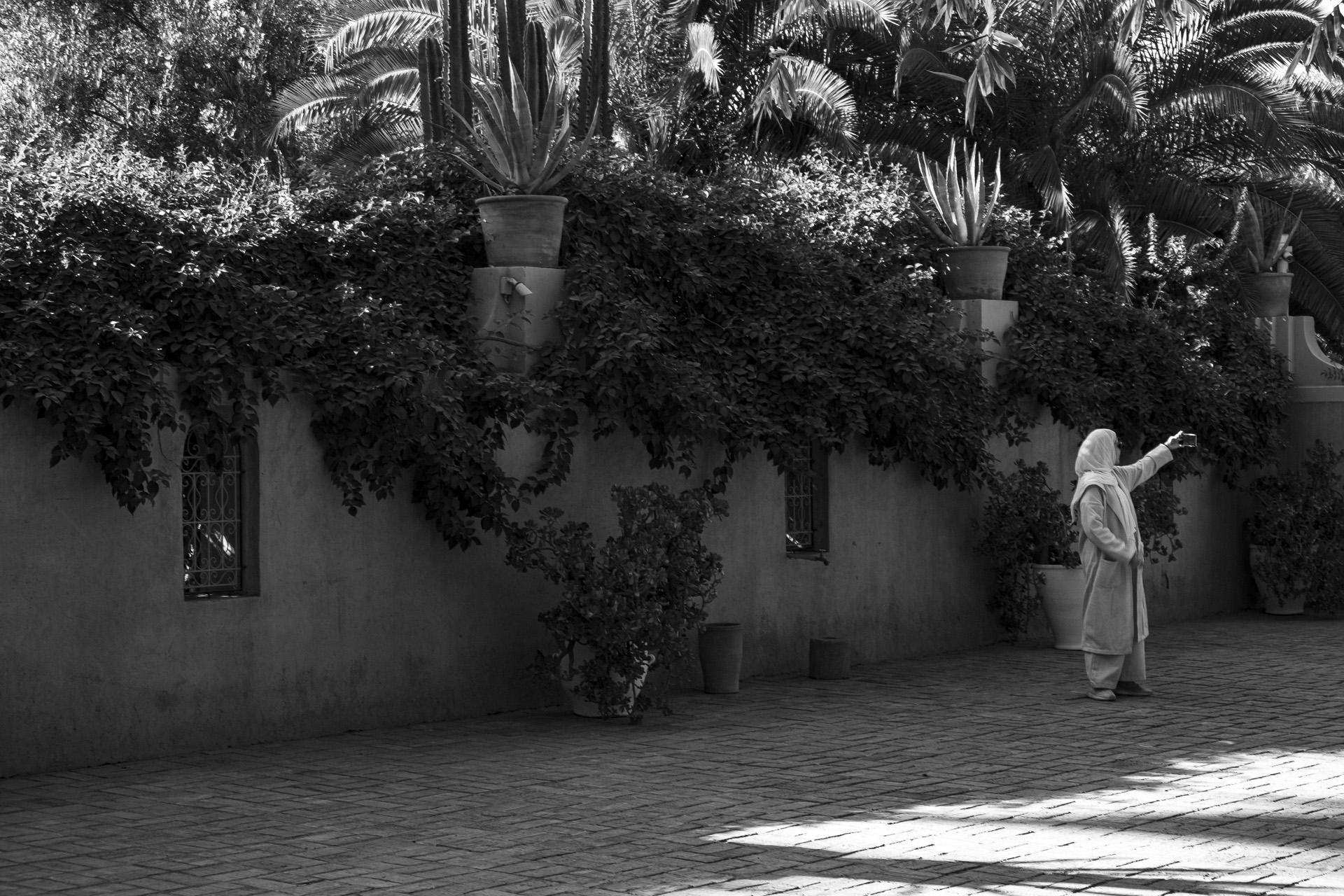 dscf2325_53067379576_o