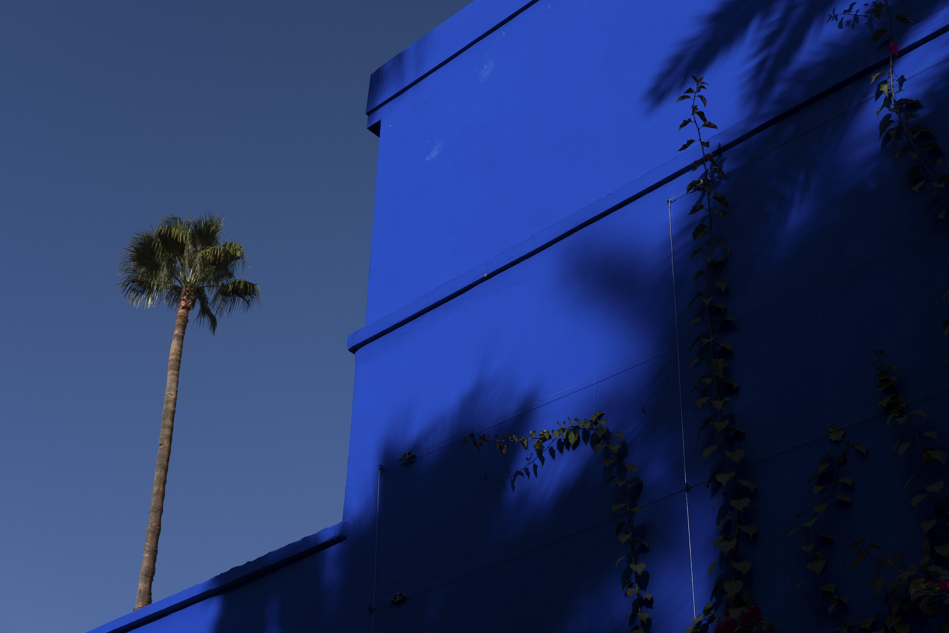 dscf2385_53066789047_o