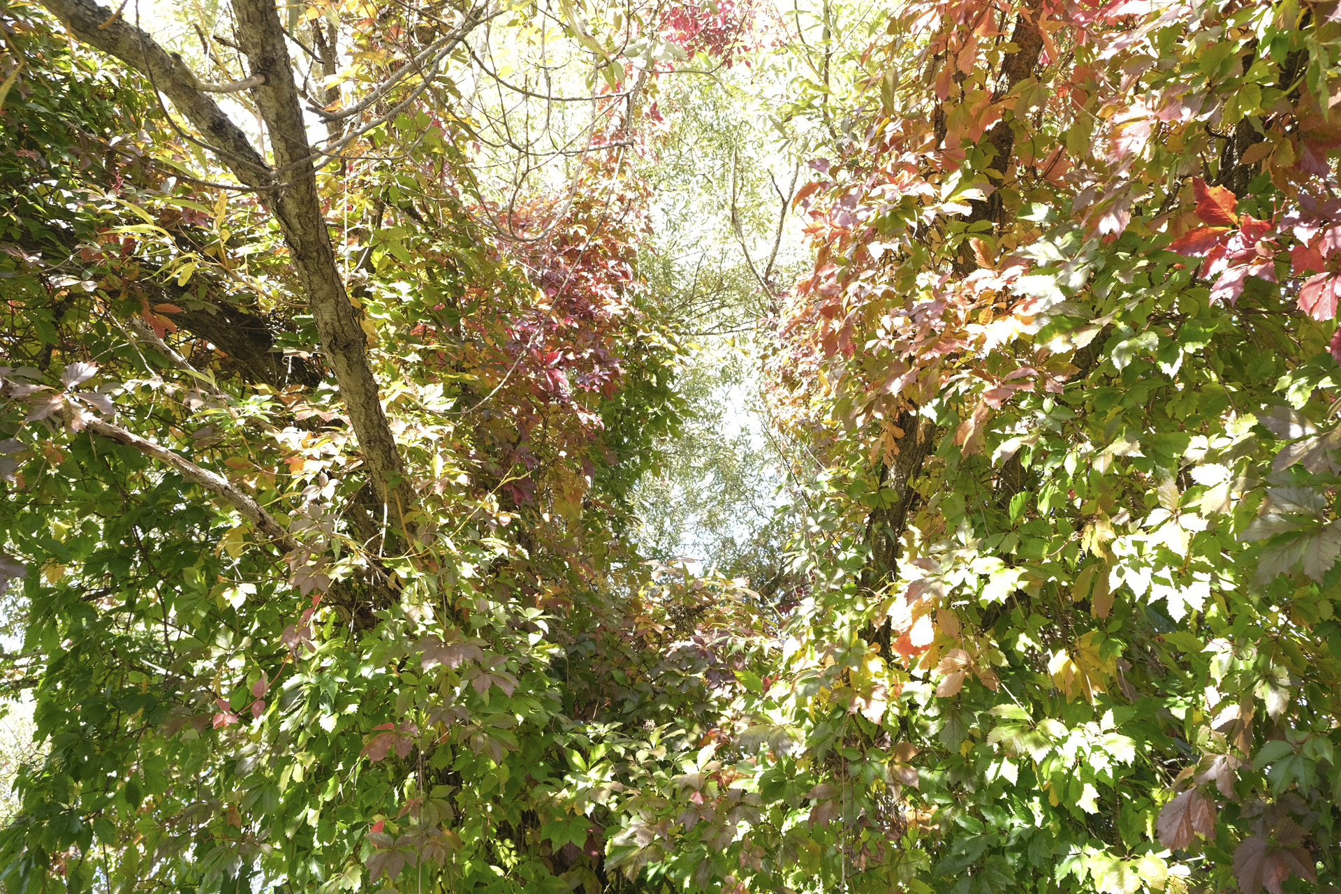 dscf4348_53067560309_o