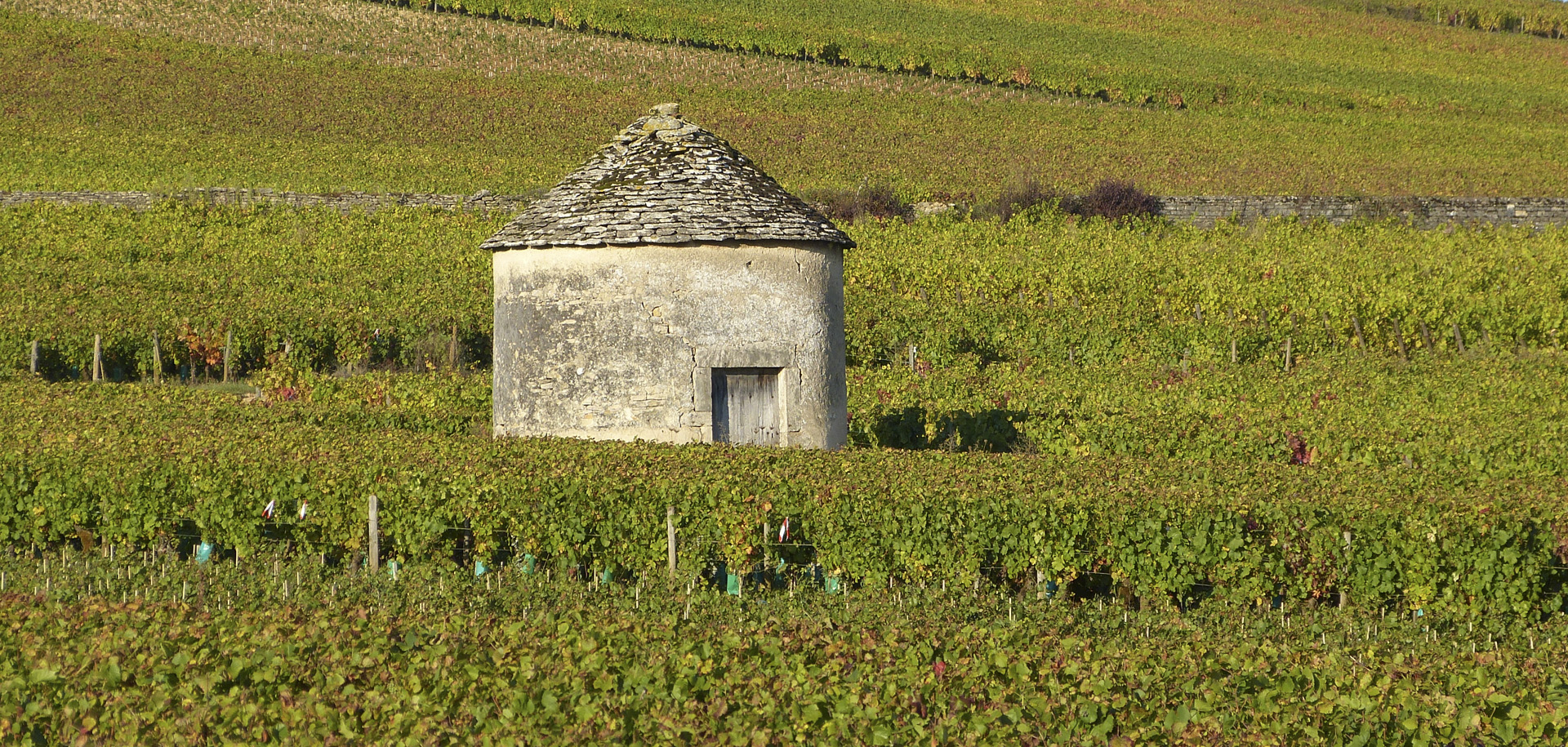 paysage-de-cote-dor_53066802762_o