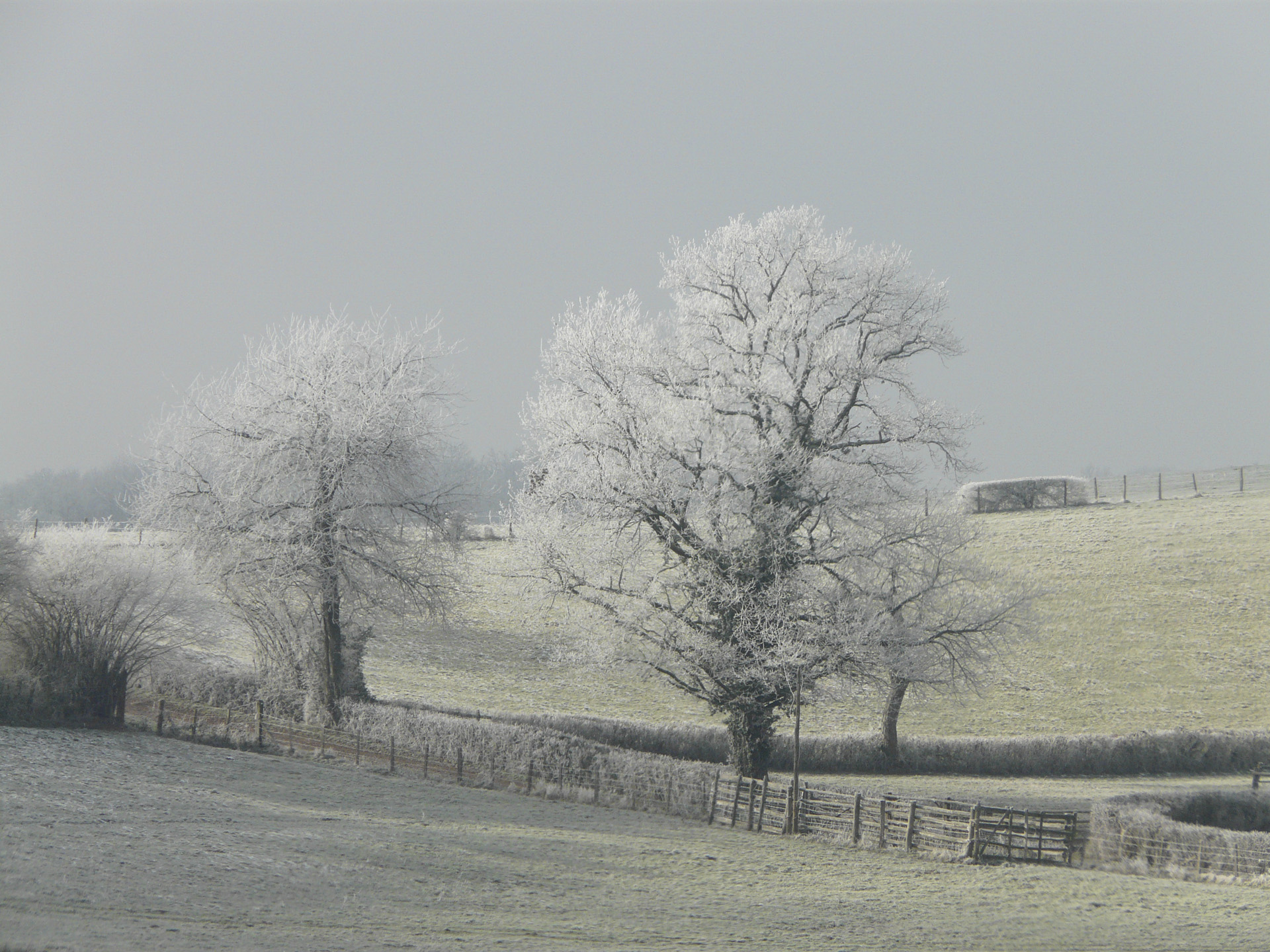 paysage-de-neige-en-saone-et-loire_53067391151_o