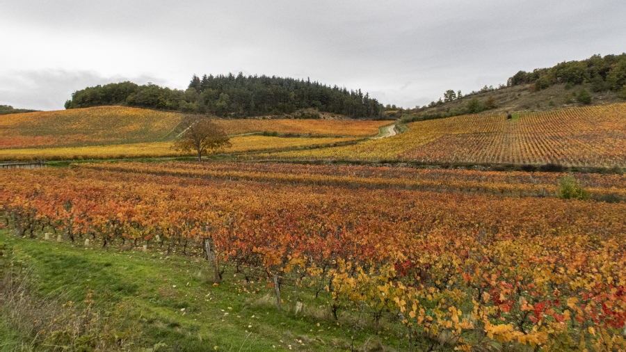 Couleurs d'automne_1