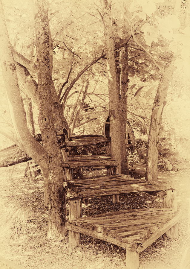 JARDIN ARC ET SENANS 02 1920px