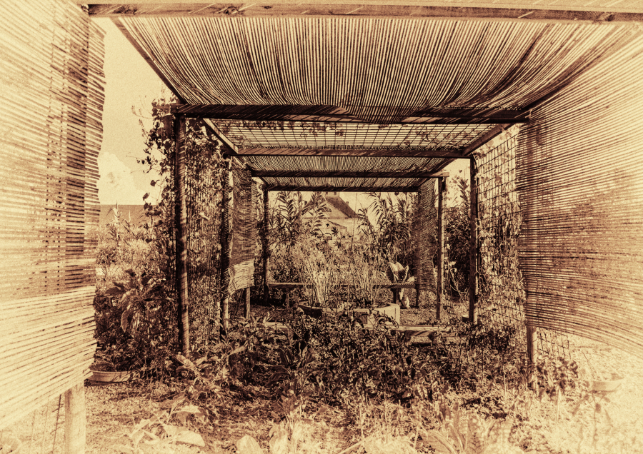 JARDIN ARC ET SENANS 05 1920px