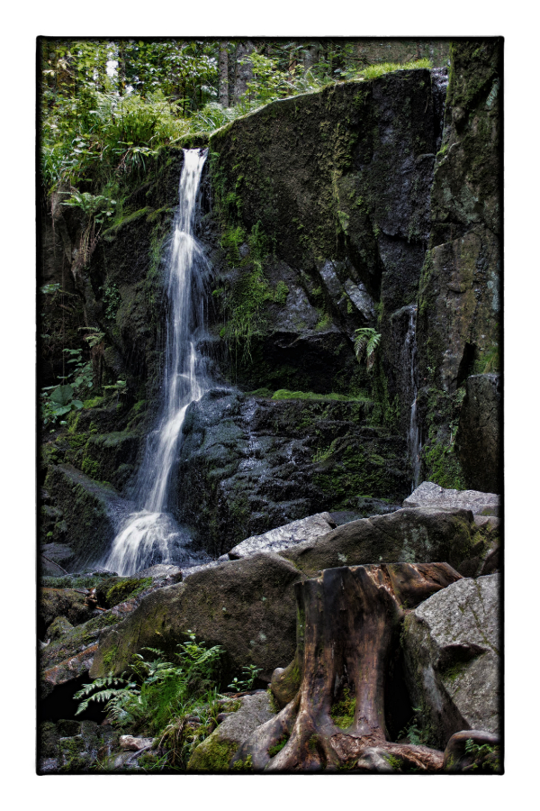 Au pied du HOHNECK (88)