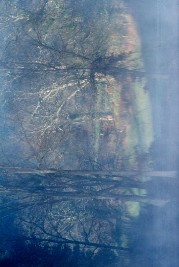 _DSC7836  c imp copie