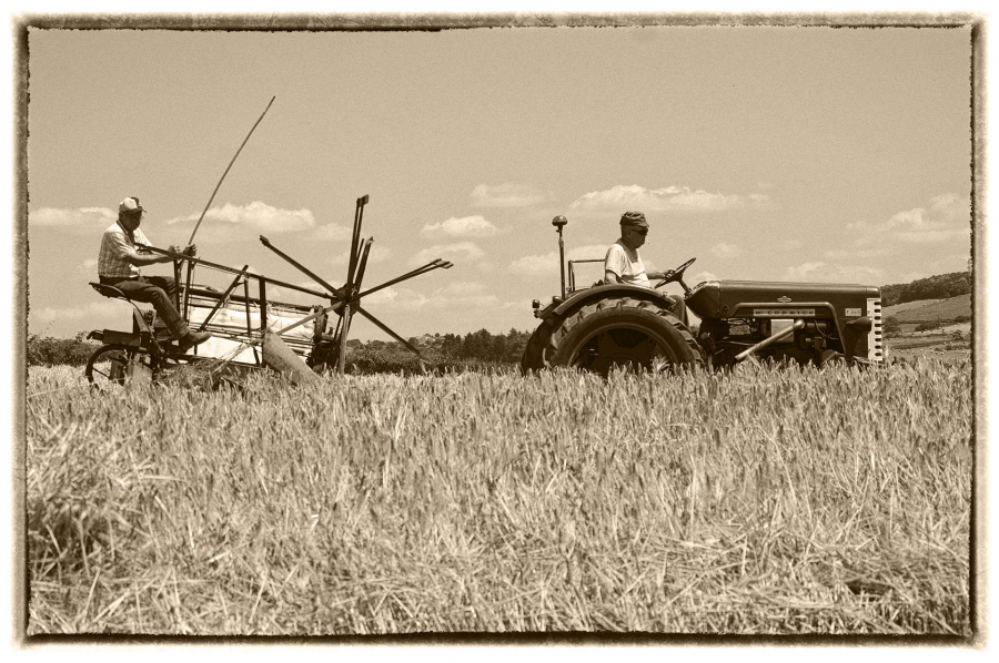 moisson 02 sepia 1920