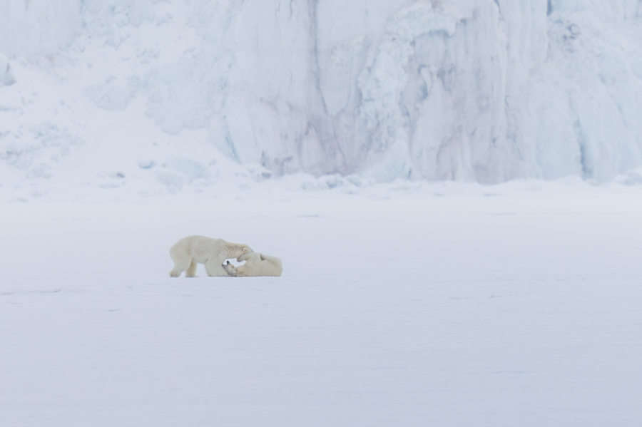 1G2A3541-Avec accentuation-Bruit-2