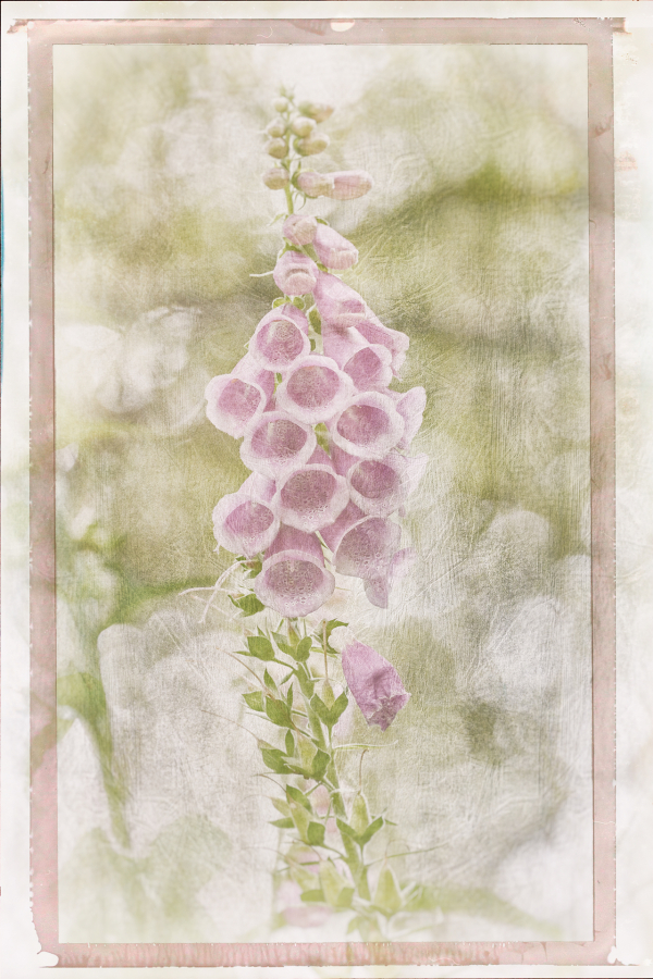 M_Beaufils_Gant de bergère6