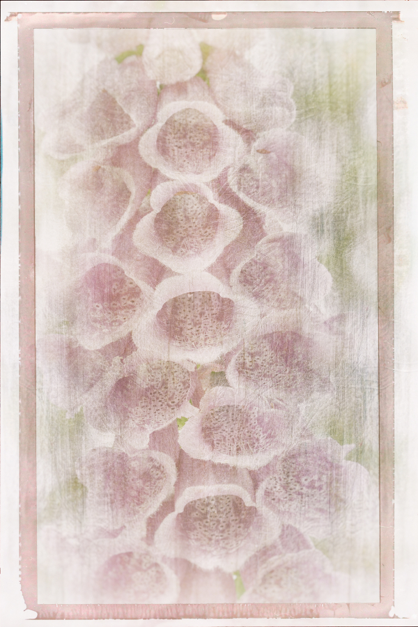 M_Beaufils_Gant de bergère8