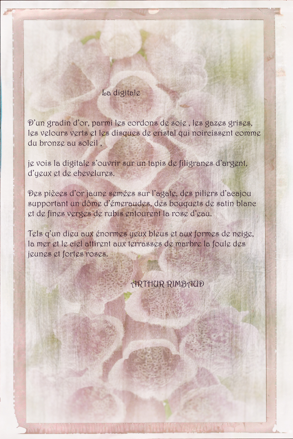 M_Beaufils_Gant de bergère9