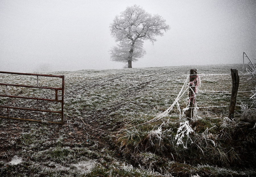 G_Guillet_Ambiance Givrée2