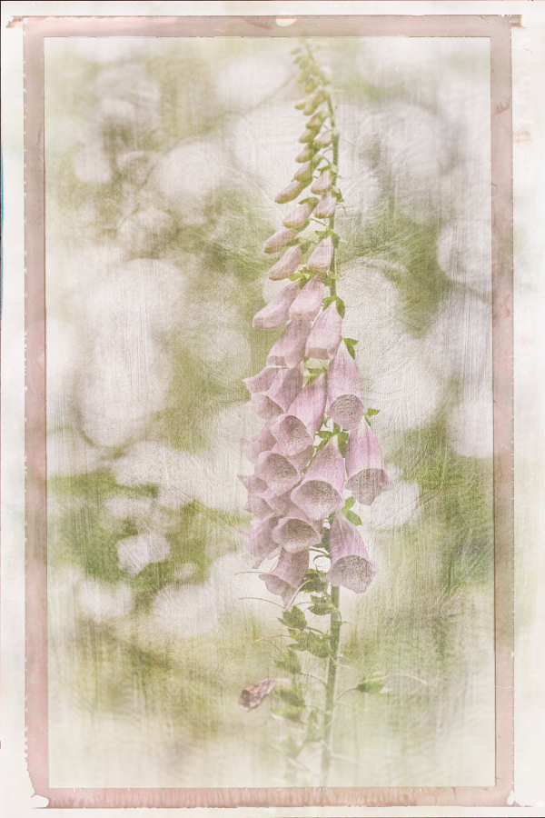 M_Beaufils_Gant de bergère1