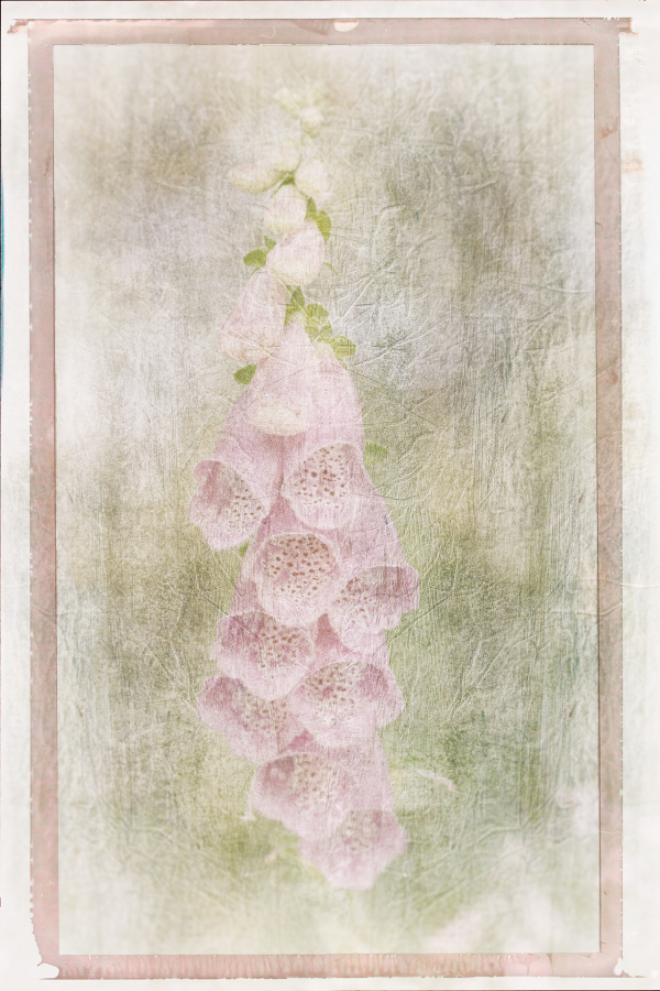 M_Beaufils_Gant de bergère2