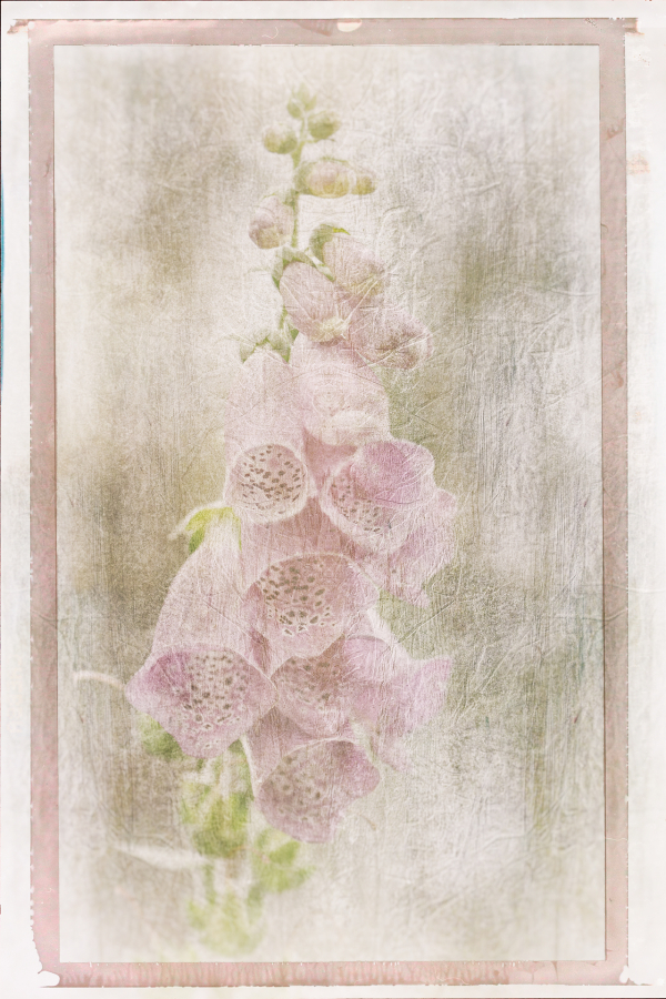 M_Beaufils_Gant de bergère3