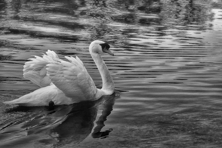 Glissade silencieuse