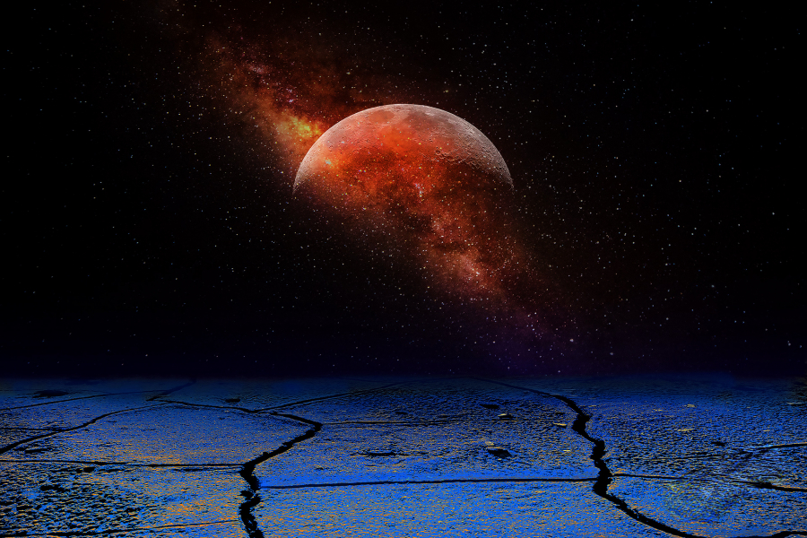 mur Quand la terre sera morte