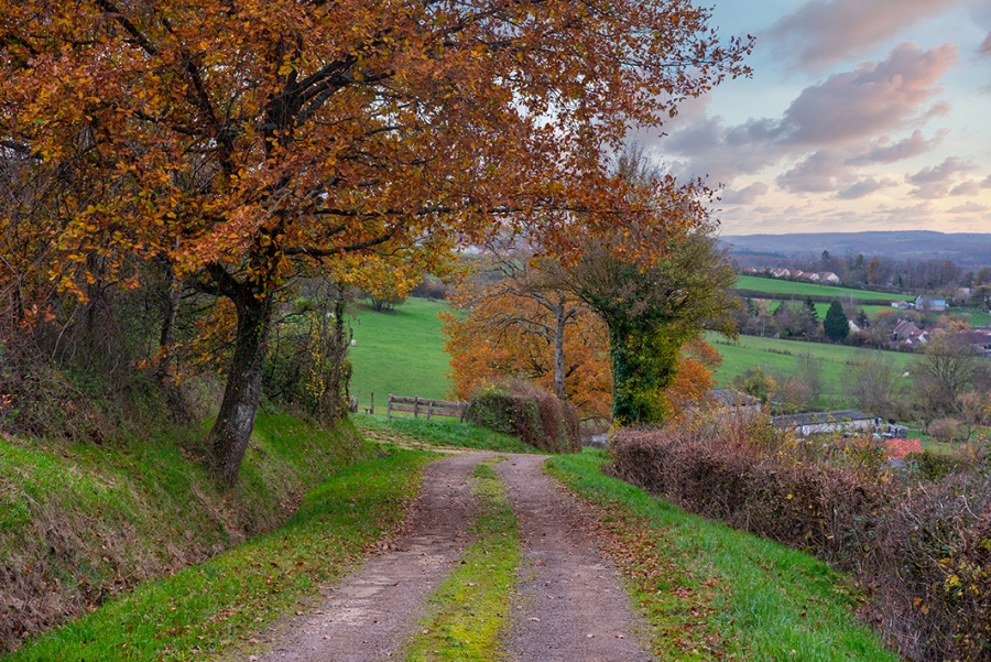Les Chevrotes - St Léger_1