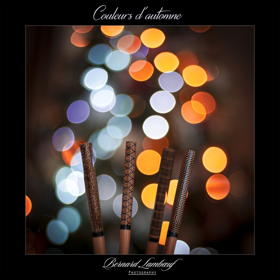 Couleurs d'Automne _1