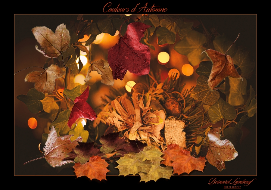 Couleurs d'automne 2 _2