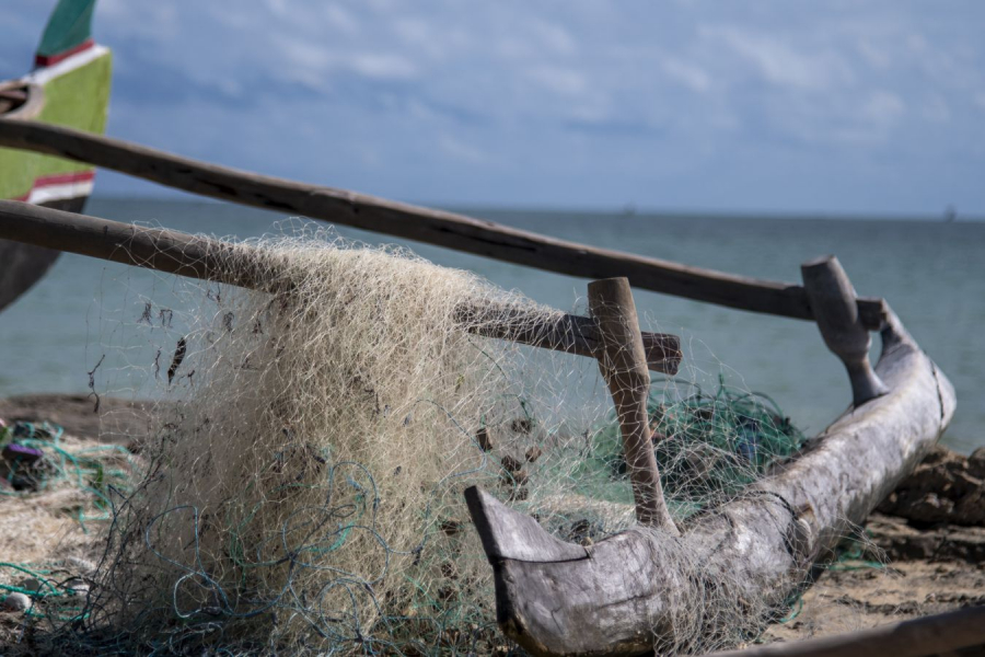 Filet GUINOT Gilbert