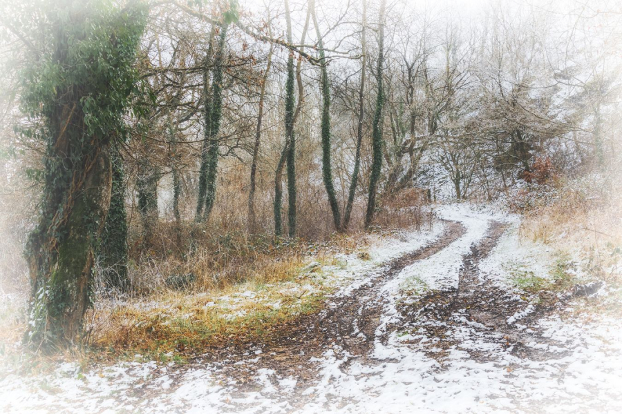 Frisson d'hiver BEAUFILS Monique