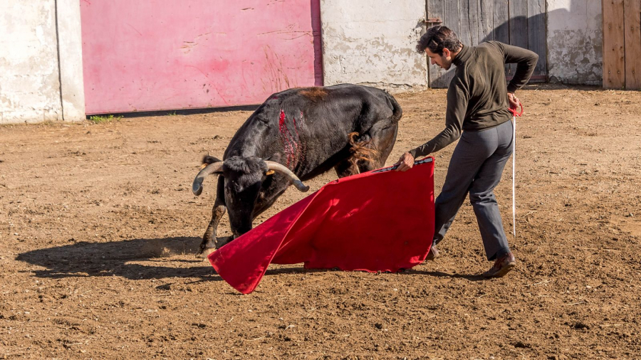 Le toréador MARTINET Thierry