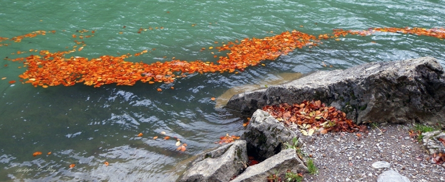 Avant la première neige_1