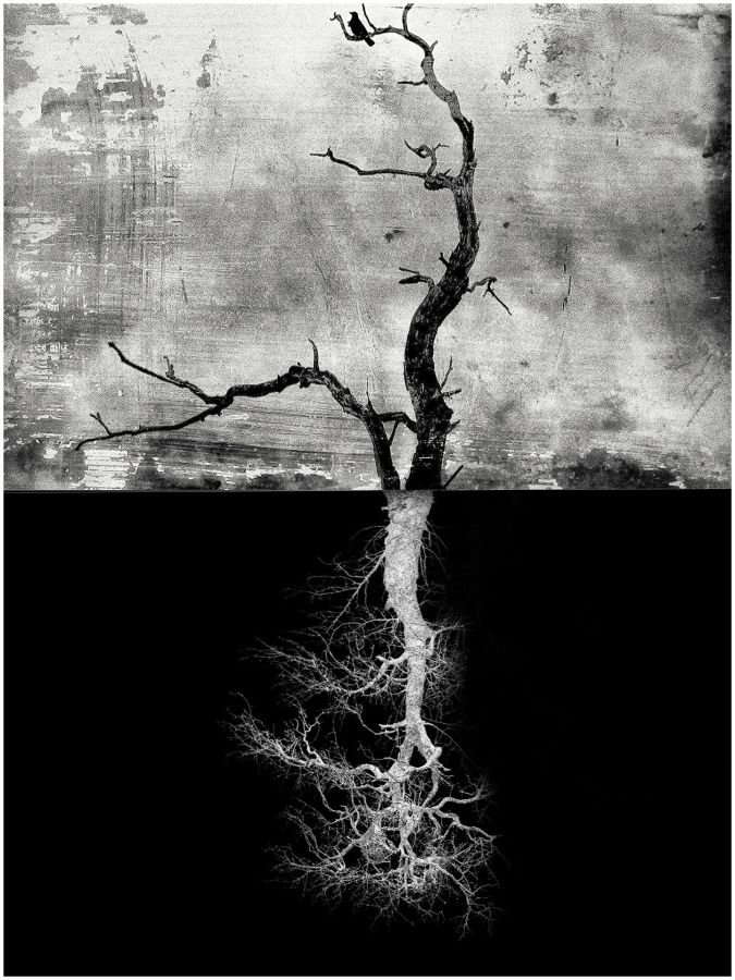 BOURDEAU Roger - Arbor1