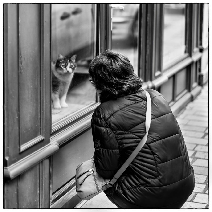 MILLIET Laurent - Rencontre