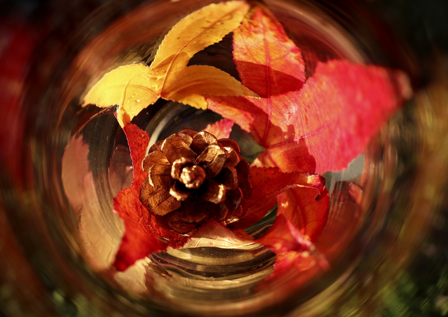 composition automnale_1