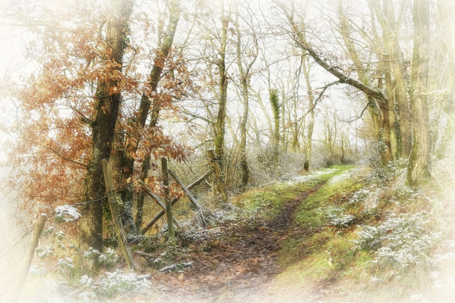 BEAUFILS Monique - Frissons d'hiver