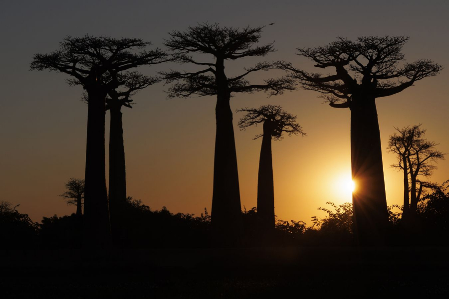 GUINOT Elisabeth - Sérénité