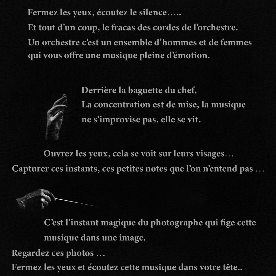 L'orchestre - MILLIET Laurent 8