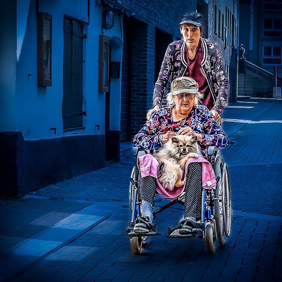 MARTINET Thierry - Chien de garde malade
