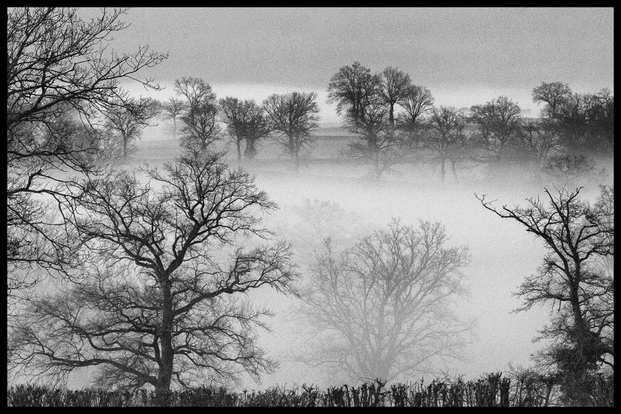 Ce 23 février,près de chez moi - BOURDEAU Roger 4