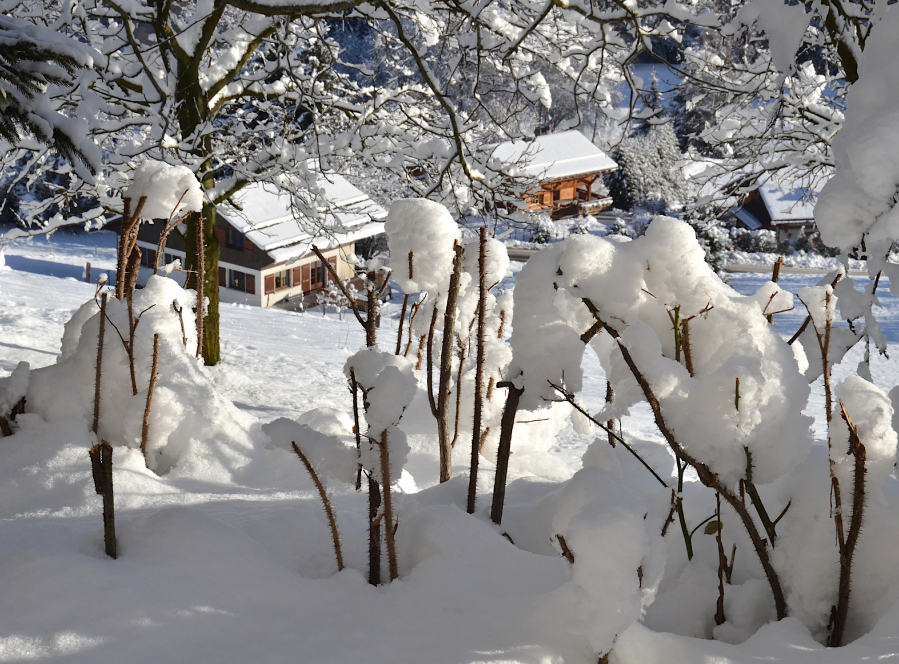 2-DSC_0865 B Neige à Combloux 2015