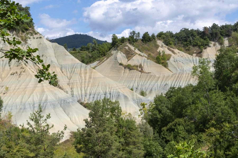 Les ravins de Corboeuf 1 copie