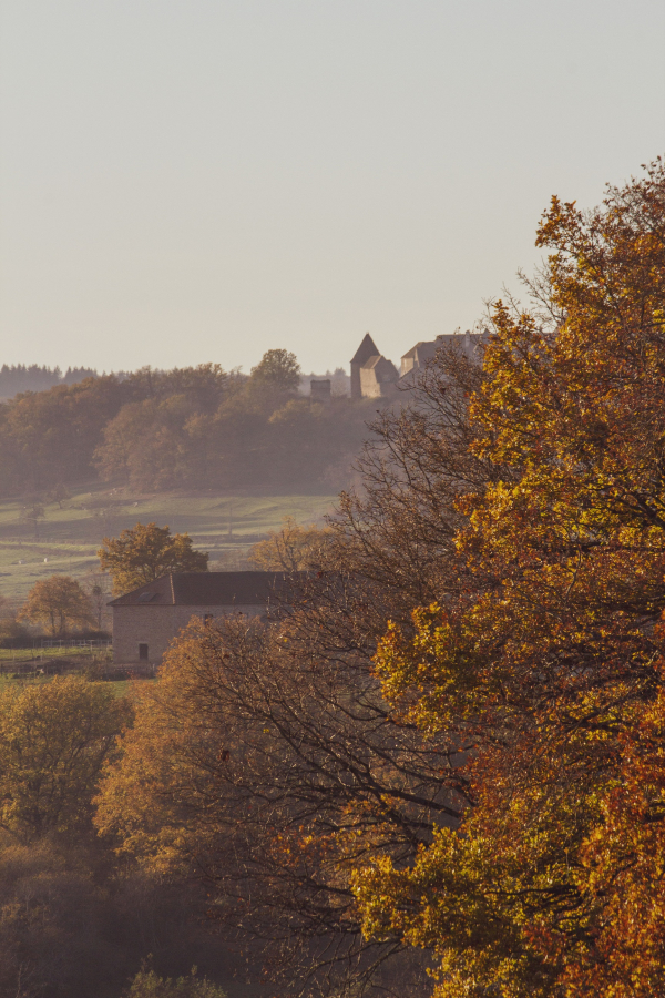 château de Brandon_1