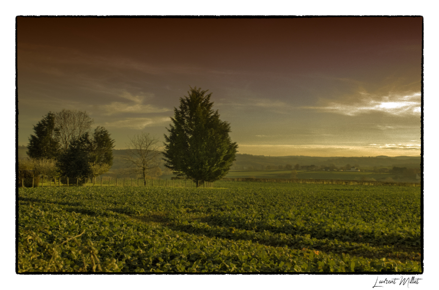 Automne à St Jean de Trezy