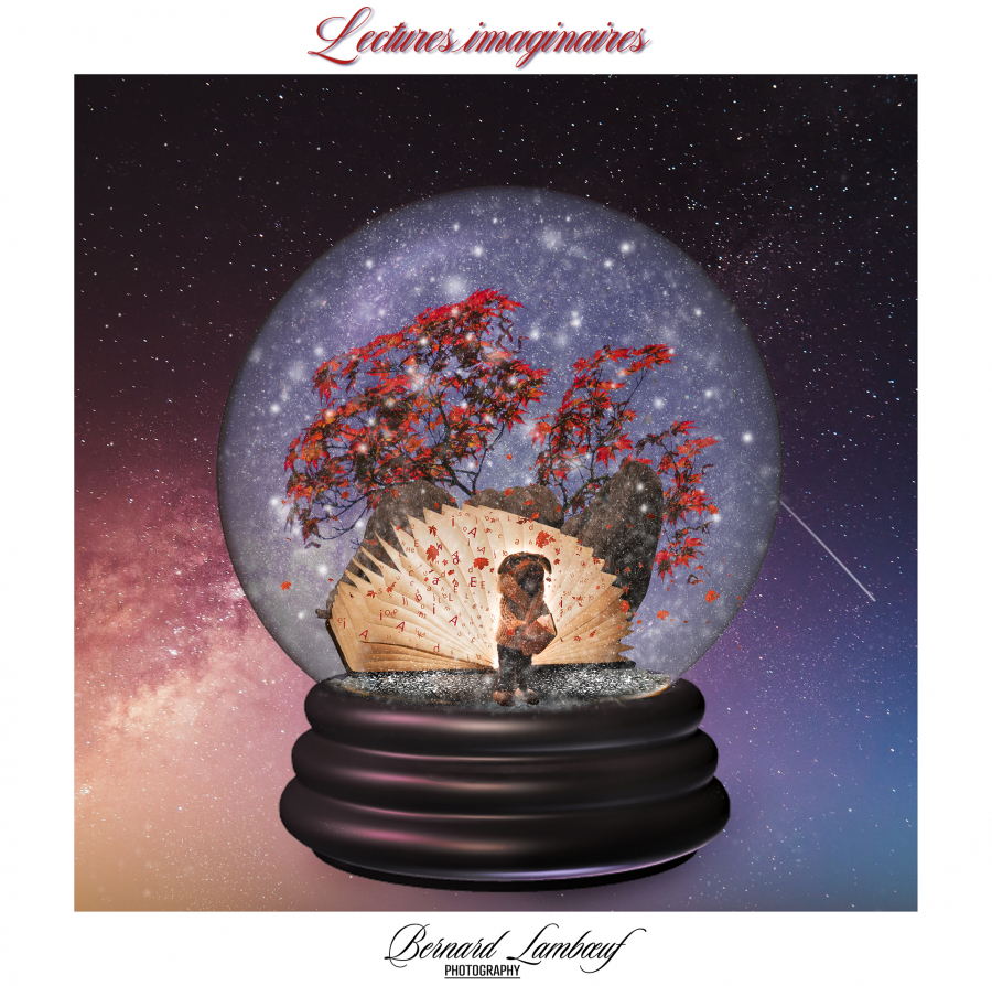 Lectures imaginaires