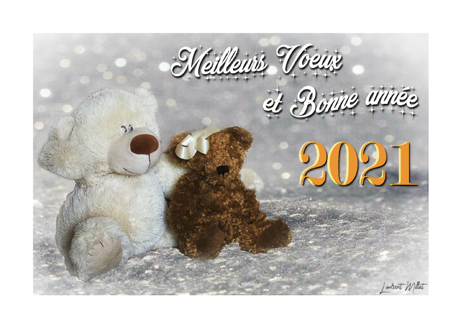 Meilleurs Voeux !