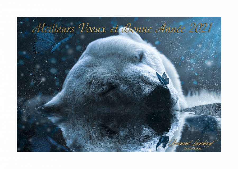Meilleurs Vœux. . . 