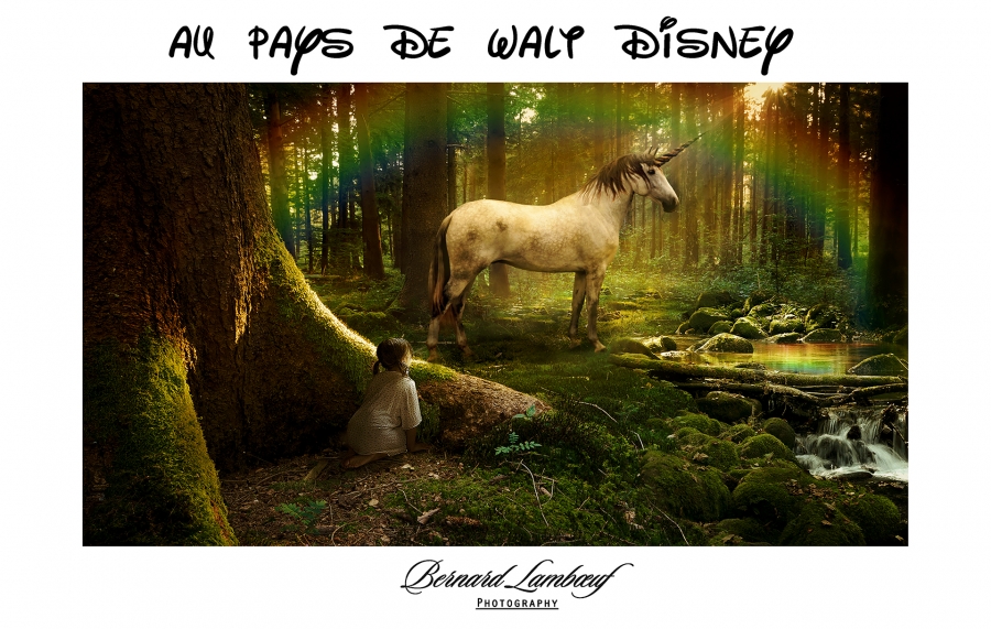 Au pays de Walt Disney_1