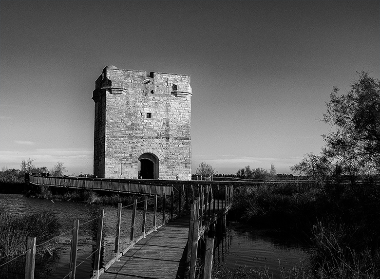 La tour Carbonnière_1